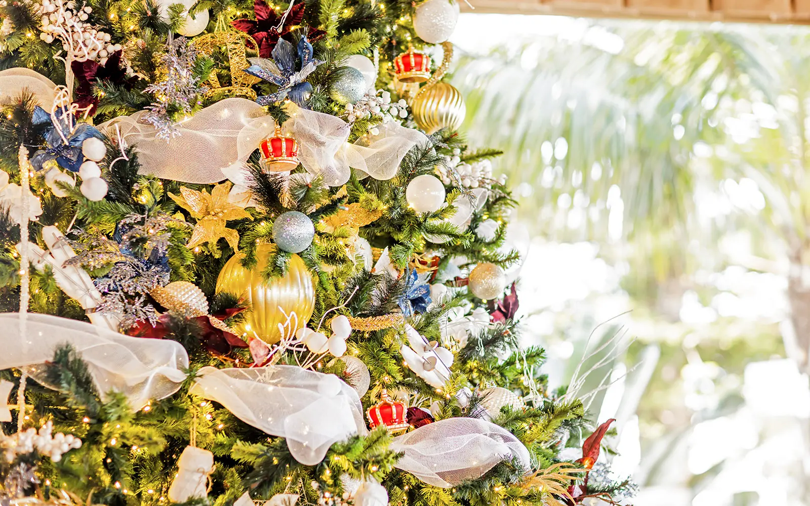 Christmas tree with palm tree in the background