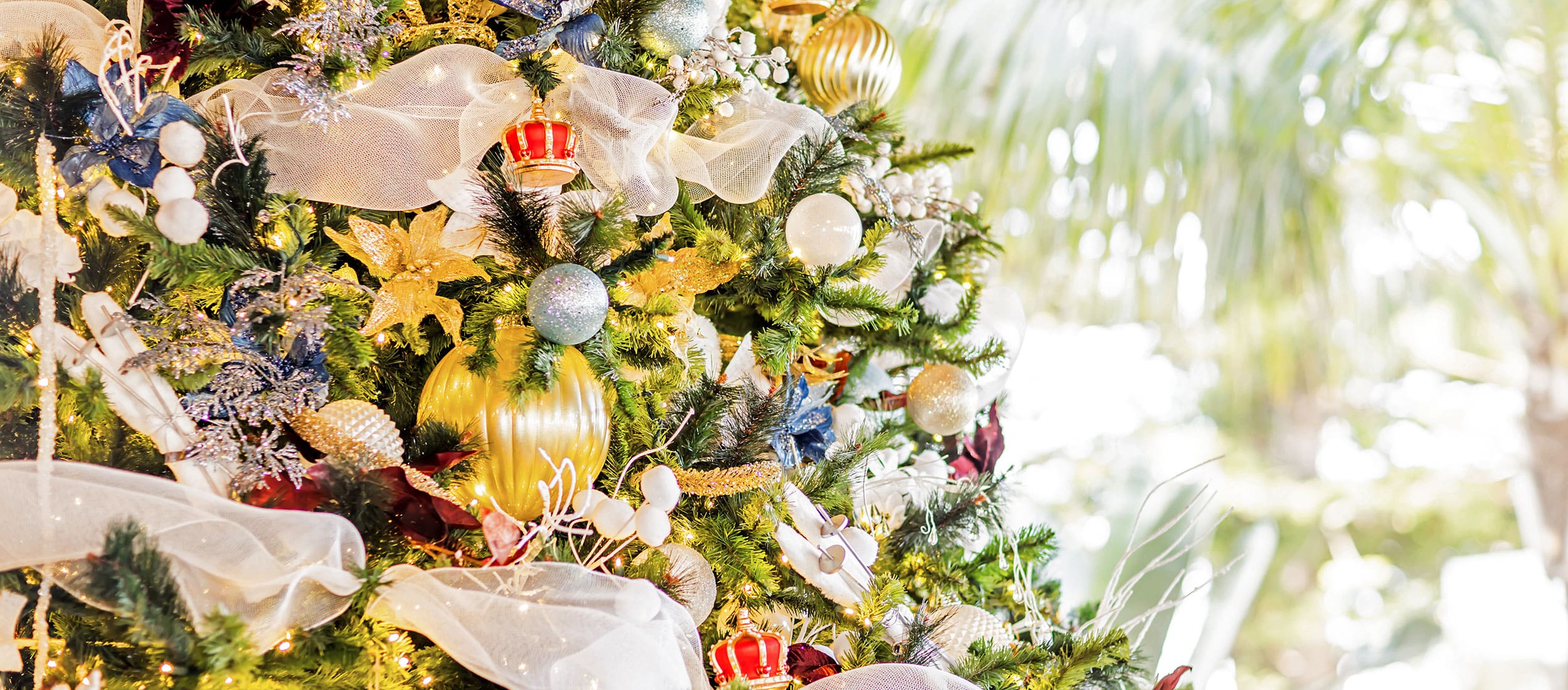 Christmas tree with palm tree in the background