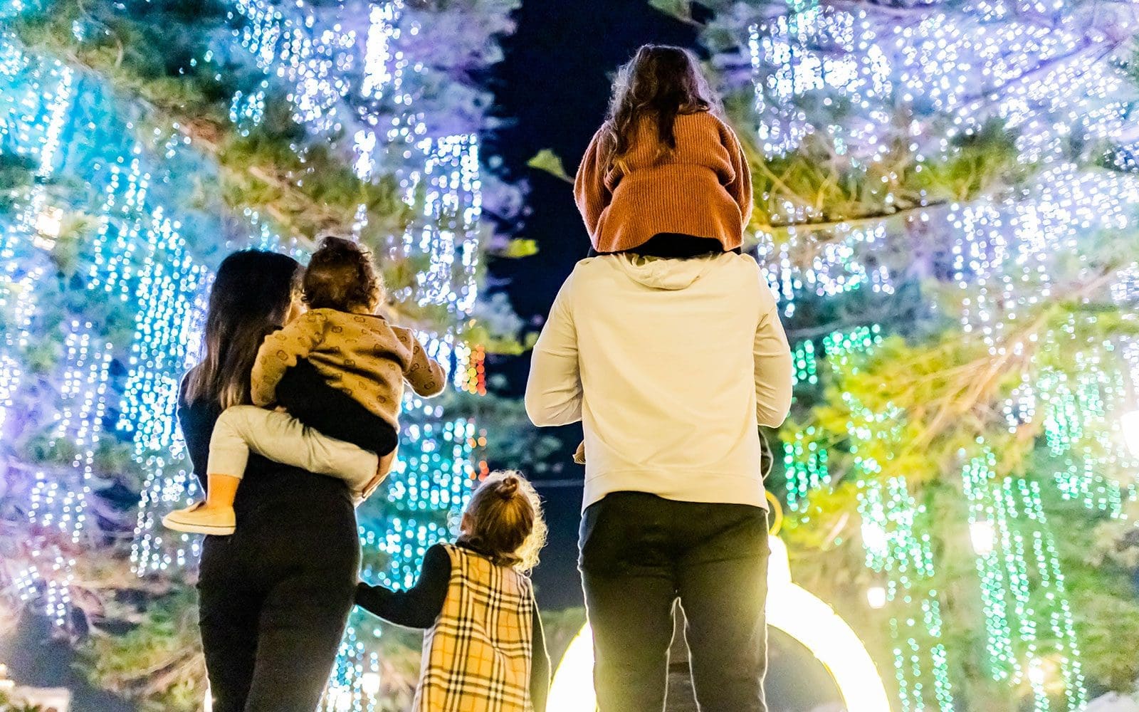 Family at Holiday Light Show